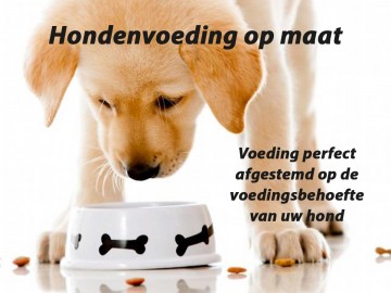 Hondenvoeding op maat   2