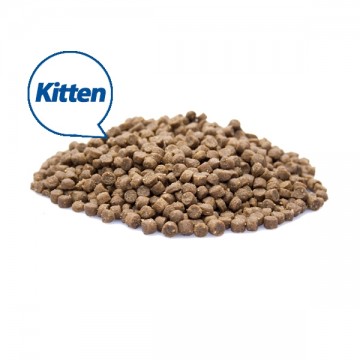 Premium kitten   usp